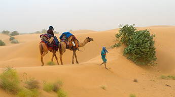 Golden Triangle with Dunes